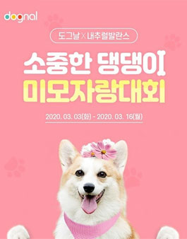 소중한 댕댕이 미모자랑 대회.