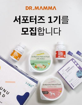 닥터맘마 서포터즈 1기 모집.