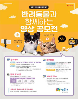 성동구 2020 반려동물과 함께하는 영상 공모전 (기간연장).