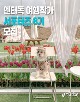 엔터독 여행작가 서포터즈 8기 모집.