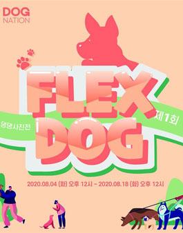 제1회 댕댕사진전 : FLEX DOG