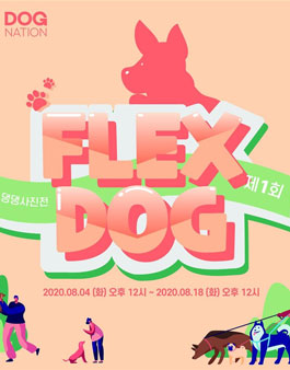 제1회 댕댕사진전 : FLEX DOG.