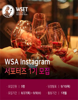 와인21 WSA 인스타그램 서포터즈 1기 모집.