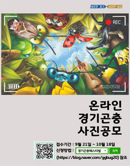 제1회 온라인 경기곤충 사진 공모전.