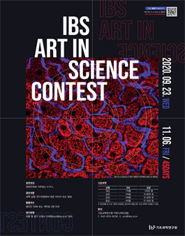 IBS Art in Science 공모전.