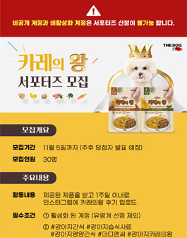 더디앤씨 카레의 왕 서포터즈 모집.