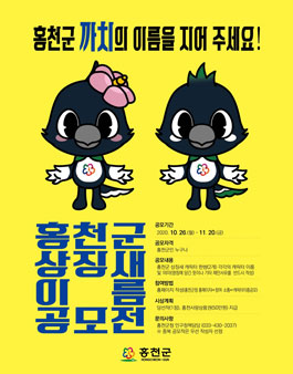 홍천군 상징새 캐릭터 이름 공모전.