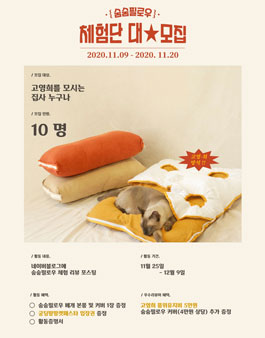 숨숨필로우 체험단 모집.