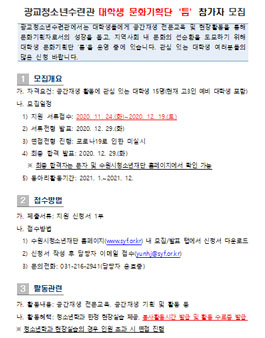 2021 대학생 문화기획단 틈 참가자 모집.