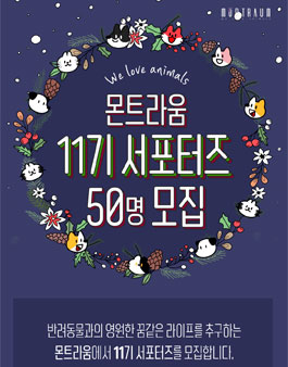 몬트라움 서포터즈 11기 모집.