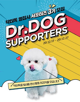닥터독 멍집사 서포터즈 3기 모집.