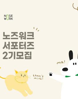 노즈워크 서포터즈 2기 모집.