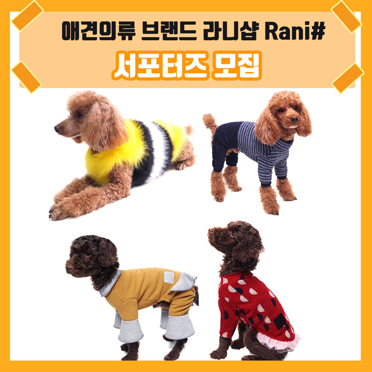 애견의류 브랜드 라니샵 Rani# 1기 서포터즈 모집 | 공모전 대외활동 - 위비티 애견의류 브랜드 라니샵 Rani# 1기 서포터즈 모집