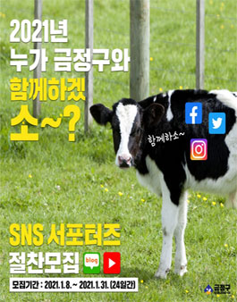 2021년 금정구 SNS 서포터즈 10기 모집.