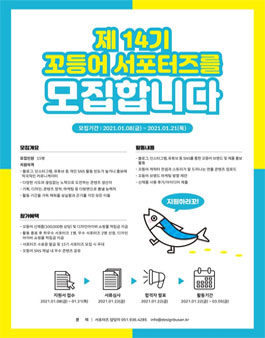 디자인아이비 꼬등어 14기 모집.