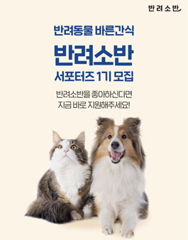 반려소반 서포터즈 1기 모집.