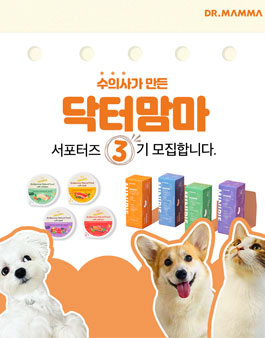 닥터맘마 서포터즈 3기 모집.