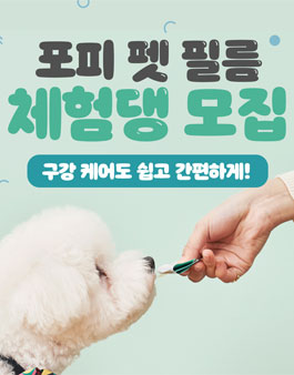2021 라보타치 포피 펫 필름 30일 체험단 모집.