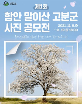 제1회 함안 말이산 고분군 사진 공모전.