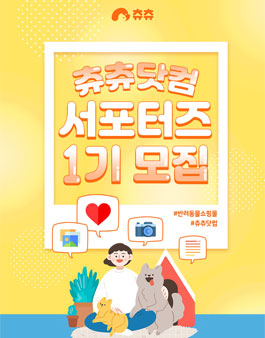 츄츄닷컴 서포터즈 1기 모집.