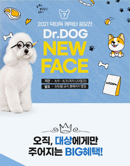 2021 닥터독 캐릭터 공모전.