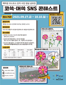 부여군 백마강 코스모스 단지 사진영상 공모전 (코쓱머쓱 sns 콘테스트).