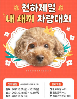 천하제일 내 새끼 자랑대회.