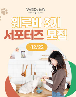 웨루바 3기 서포터즈 모집.