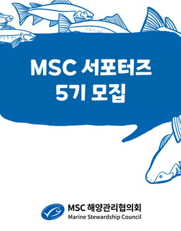 2022년도 MSC 서포터즈 5기 모집.
