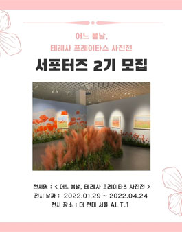 테레사 프레이타스 사진전 서포터즈 2기 모집 .