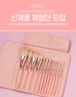 디하우트 러블리 핑크 메이크업 브러쉬 세트 12종 블로그 체험단 모집.