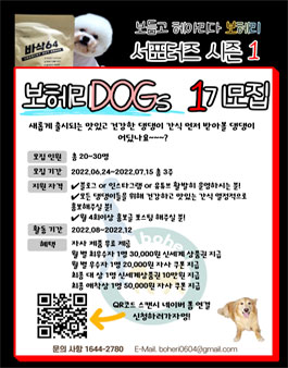 보헤리DOGs 1기 서포터즈 모집.