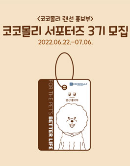 코코몰리 서포터즈 3기 모집.