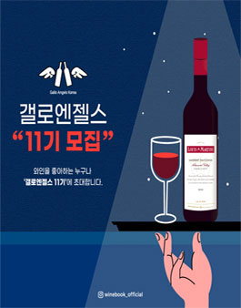 갤로 엔젤스 11기 서포터즈 모집.
