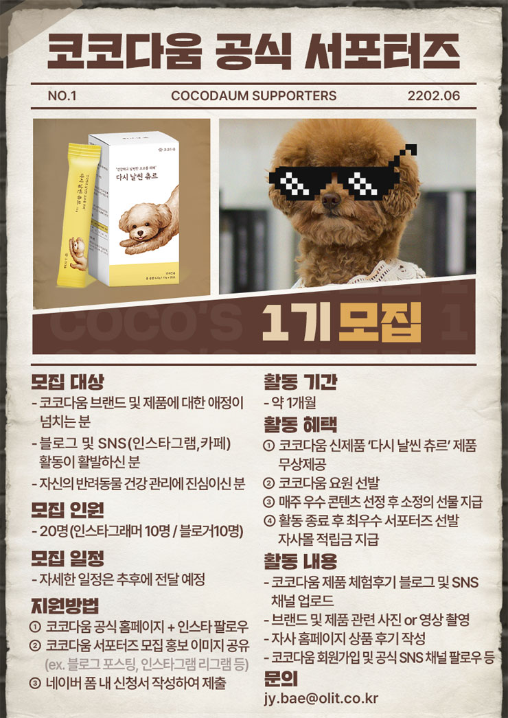 코코멍 이미지