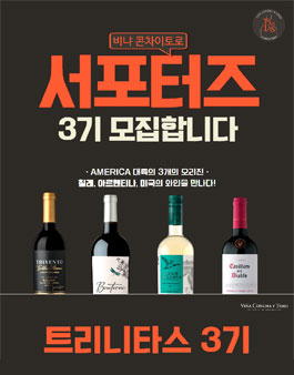 비냐 콘차이토로 서포터즈 트리니타스(Trinitas) 3기 모집.