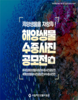 제2회 해양생물 수중사진 공모전.