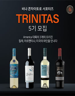 세계적인 와인 그룹 비냐 콘차이토로 서포터즈 트리니타스(Trinitas) 5기 모집