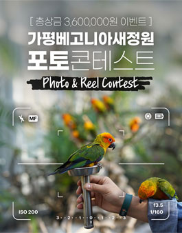 가평베고니아새정원 포토콘테스트