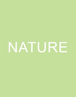 CICA 미술관 국제전 Nature 2025 공모.