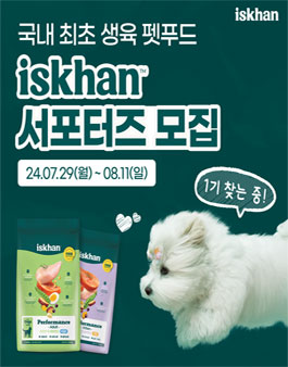 이즈칸 서포터즈 모집
