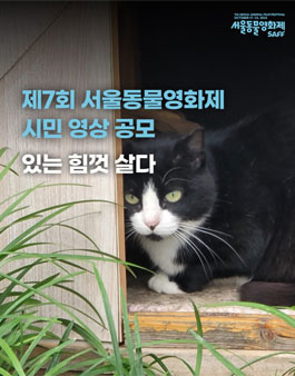 제7회 서울동물영화제 시민영상 공모.