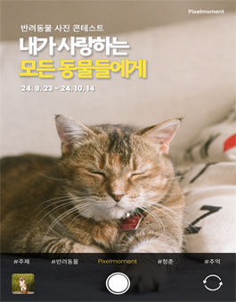 픽셀모먼트 사진 공모전 (내가 사랑하는 모든 동물들에게)