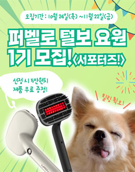 퍼벨로 털보요원 서포터즈 1기 모집