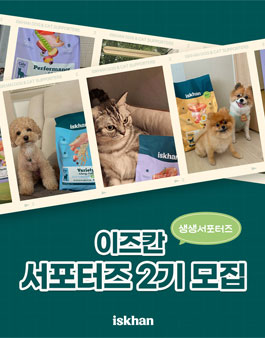 이즈칸 생생 서포터즈 2기 모집