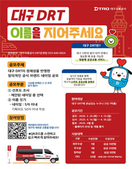대구 DRT 네이밍 선호도조사 및 공모전