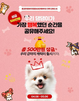 용감한댕댕이×동물보호단체라이프 SNS 콘테스트.