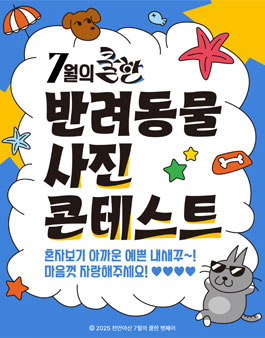 2025 천안아산 7월의 COOL한 반려동물 사진 콘테스트.