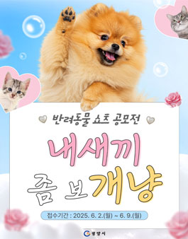 내새끼 좀 보개냥 쇼츠 공모전.