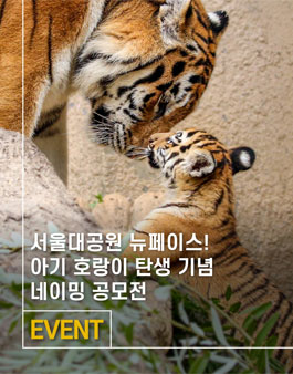 아기 호랑이 탄생 100일 기념 네이밍 공모전 .